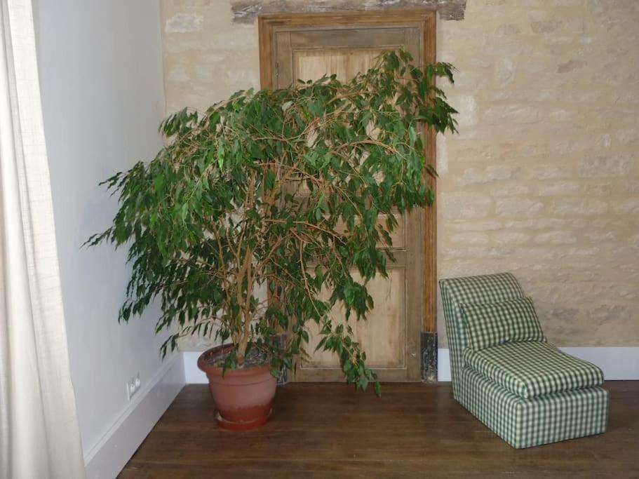 Le Presbytere - Touillon, Jacuzzi, 4 Chambres Pour 10 Extérieur photo
